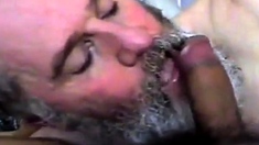 Bearded Daddy Suck And Swallow